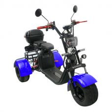 Электроскутер CityCoco SkyBoard Trike BR40-3000 PRO