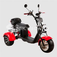 Электроскутер CityCoco SkyBoard Trike BR60-3000 PRO