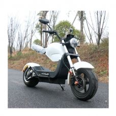 Электроскутер Citycoco Bike