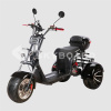 Электроскутер CityCoco SkyBoard Trike BR60-3000 PRO FAST