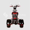 Электроскутер CityCoco SkyBoard Trike BR60-3000 PRO FAST