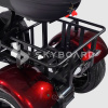 Электроскутер CityCoco SkyBoard Trike BR80