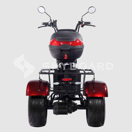 Электроскутер CityCoco SkyBoard Trike BR80