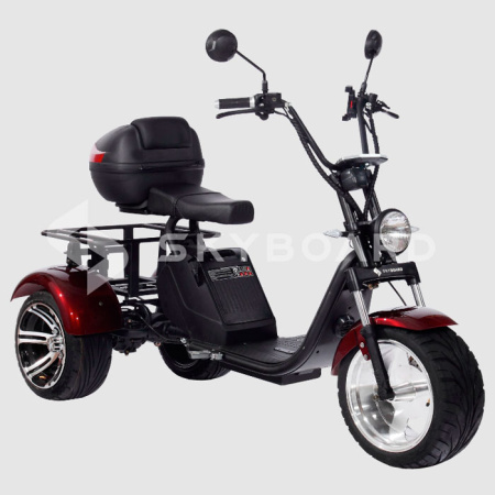 Электроскутер CityCoco SkyBoard Trike BR80