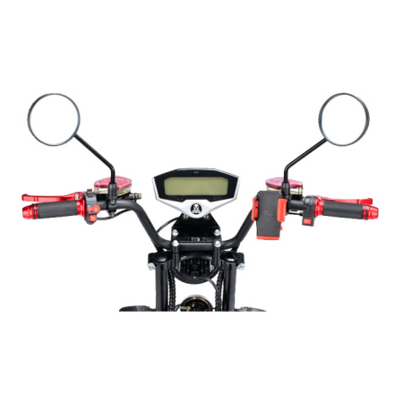 Электроскутер Citycoco WS Pro+ Max 3000W (черный)