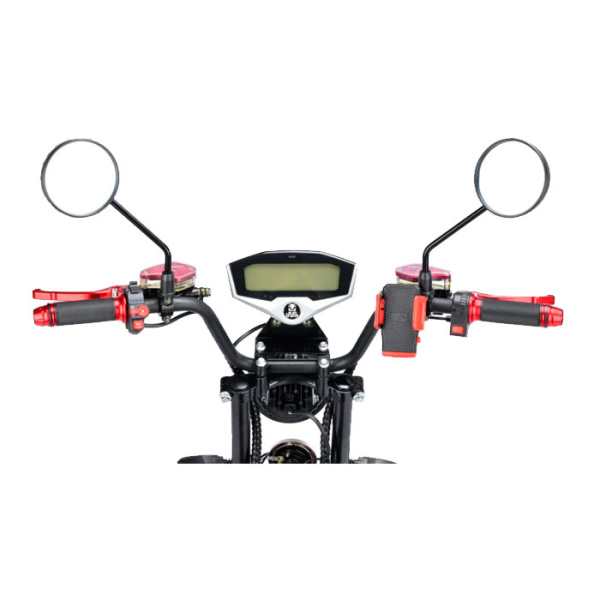 Электроскутер Citycoco WS Pro+ Max 3000W (красный)