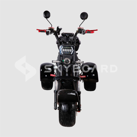 Электроскутер CityCoco SkyBoard Trike BR40-3000 PRO FAST