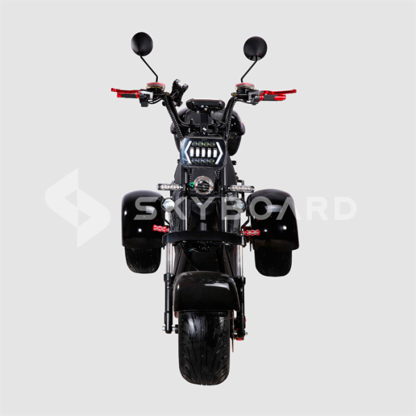 Электроскутер CityCoco SkyBoard Trike BR40-3000 PRO FAST
