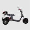 Электроскутер CityCoco SkyBoard Trike BR40-3000 PRO FAST