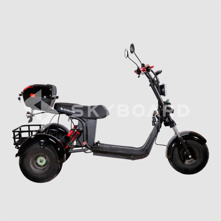 Электроскутер CityCoco SkyBoard Trike BR40-3000 PRO FAST