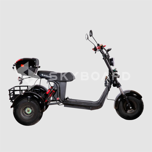 Электроскутер CityCoco SkyBoard Trike BR40-3000 PRO FAST