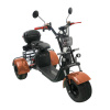 Электроскутер CityCoco SkyBoard Trike BR40-3000 PRO