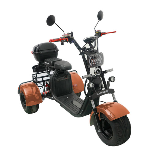 Электроскутер CityCoco SkyBoard Trike BR40-3000 PRO