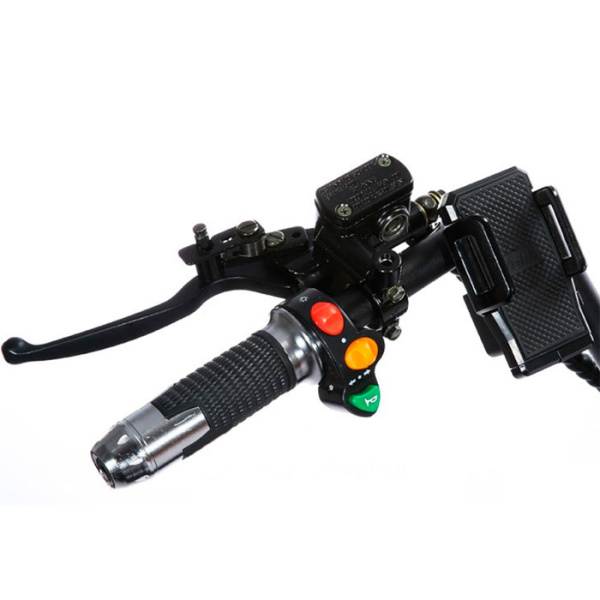 Трехколесный электроскутер Citycoco 2000W