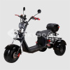 Электроскутер CityCoco SkyBoard Trike BR40-3000 PRO FAST