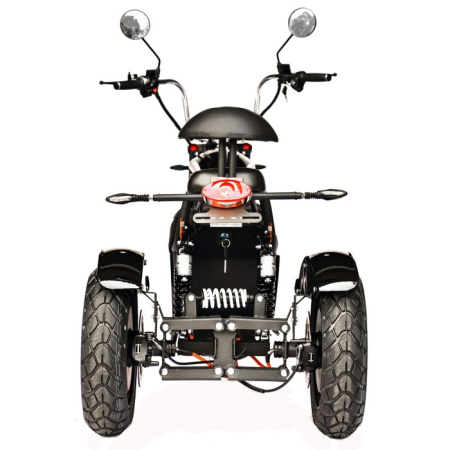 Электроскутер Citycoco Skyboard Chopper - 4000 Harrow (Elbrus)