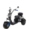 Электроскутер CityCoco SkyBoard Trike BR40-3000 PRO FAST OFF-ROAD
