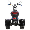 Электроскутер CityCoco SkyBoard Trike BR40-3000 PRO FAST OFF-ROAD
