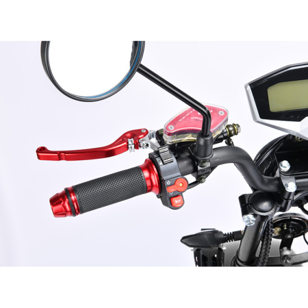 Электроскутер Citycoco WS Pro+ Max 3000W (черный)