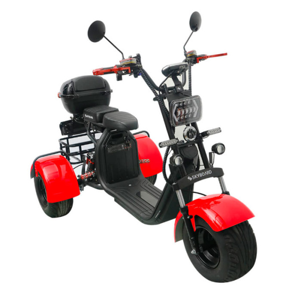 Электроскутер CityCoco SkyBoard Trike BR40-3000 PRO