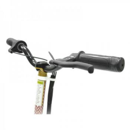 Электросамокат SCOOTERMAN CD-02