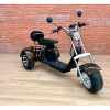 Трехколесный электроскутер Citycoco Trike GT X11