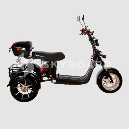 Электроскутер CityCoco SkyBoard Trike BR60-3000 PRO FAST