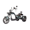 Электроскутер Citycoco SkyBoard TRIKE CHOPPER-4000 pro fast