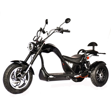 Электроскутер Citycoco Skyboard Chopper - 4000 Harrow (Elbrus)