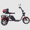Электроскутер CityCoco SkyBoard Trike BR80