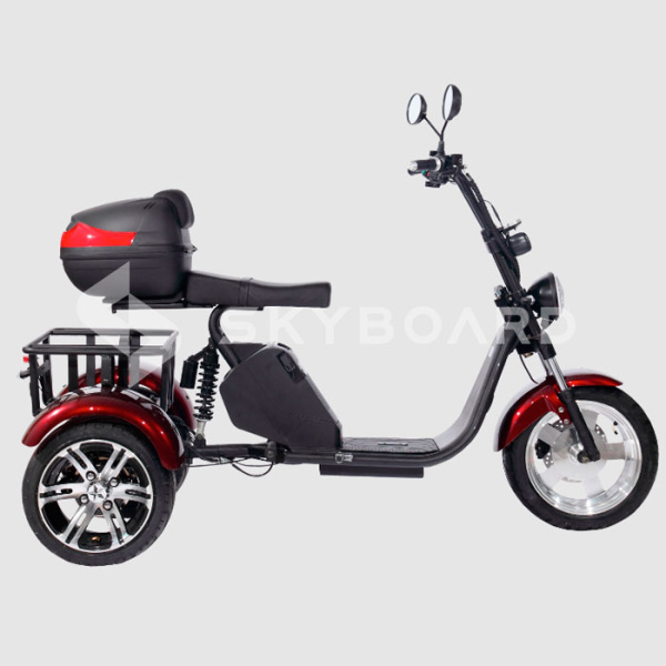 Электроскутер CityCoco SkyBoard Trike BR80
