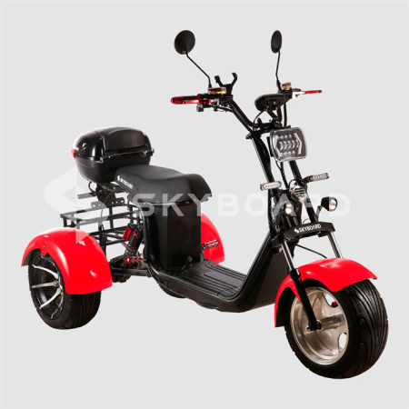 Электроскутер CityCoco SkyBoard Trike BR60-3000 PRO FAST