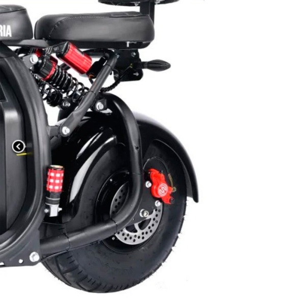 Электроскутер Citycoco WS Pro Light 2000W