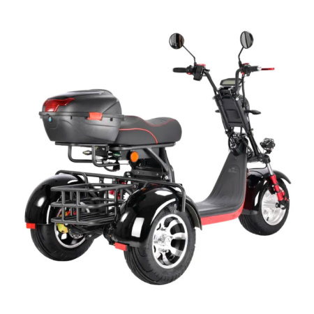 Электроскутер Citycoco WS-PRO+ trike 3000w 21ah (черный)