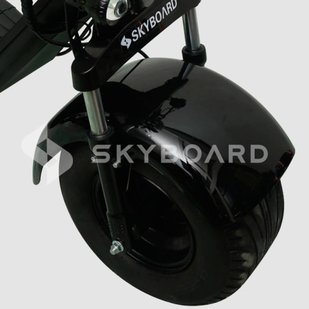 Электроскутер CityCoco SkyBoard Trike BR40-3000 PRO