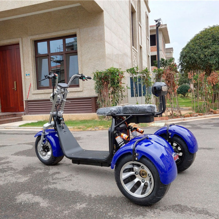 Трехколесный электроскутер Citycoco Harley 2000W