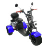 Электроскутер CityCoco SkyBoard Trike BR40-3000 PRO