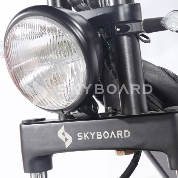 Электроскутер Citycoco SkyBoard BR70-2WD