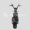 Электроскутер Citycoco SkyBoard BR70-3000 MAX