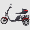 Электроскутер CityCoco SkyBoard Trike BR80