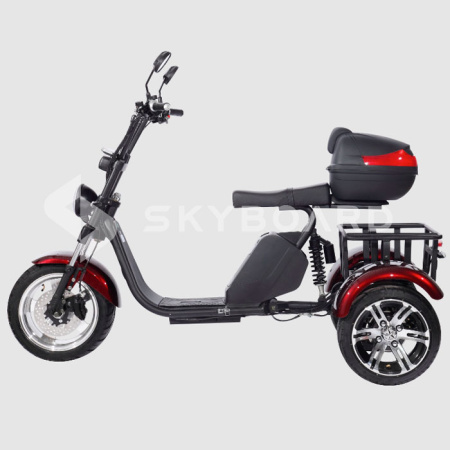 Электроскутер CityCoco SkyBoard Trike BR80