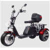 Электроскутер CityCoco SkyBoard Trike BR80