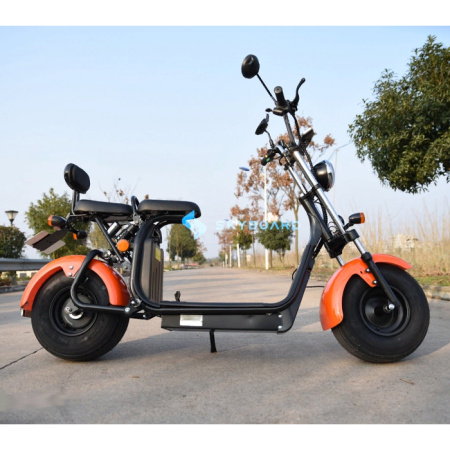 Электроскутер Citycoco SkyBoard BR20-2WD