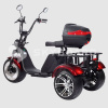 Электроскутер CityCoco SkyBoard Trike BR80