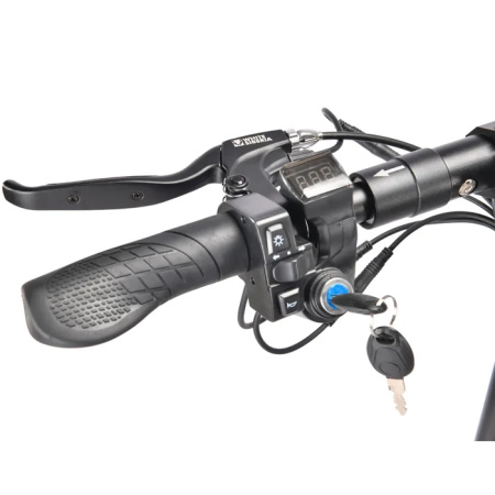 Электросамокат WS-LUNA 800W