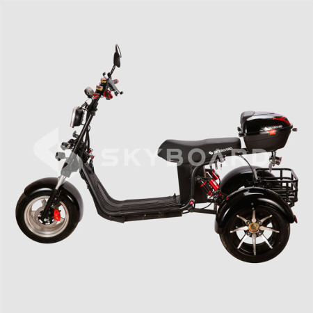Электроскутер CityCoco SkyBoard Trike BR60-3000 PRO FAST