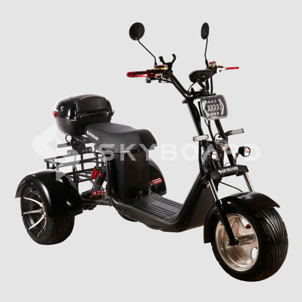Электроскутер CityCoco SkyBoard Trike BR60-3000 PRO