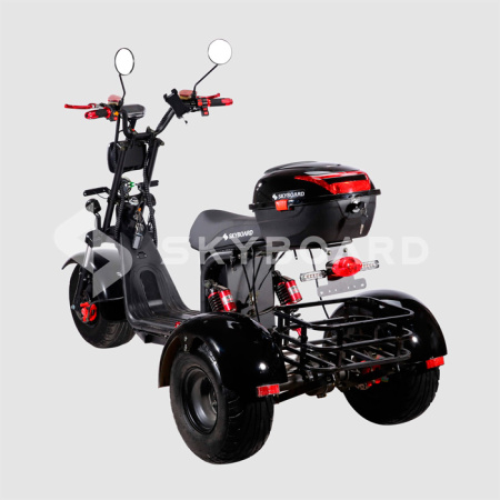 Электроскутер CityCoco SkyBoard Trike BR40-3000 PRO FAST