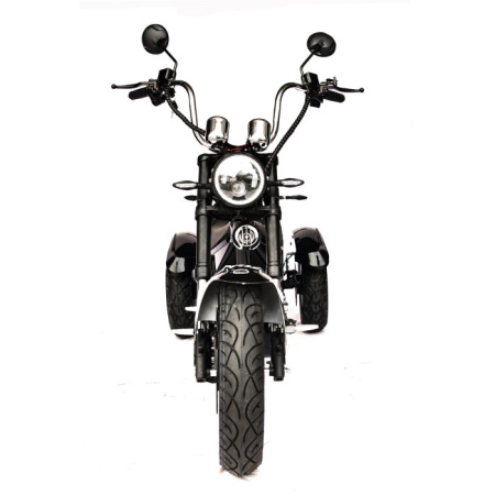 Электроскутер Citycoco Skyboard Chopper - 4000 Harrow (Elbrus)