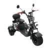 Электроскутер CityCoco SkyBoard Trike BR40-3000 PRO
